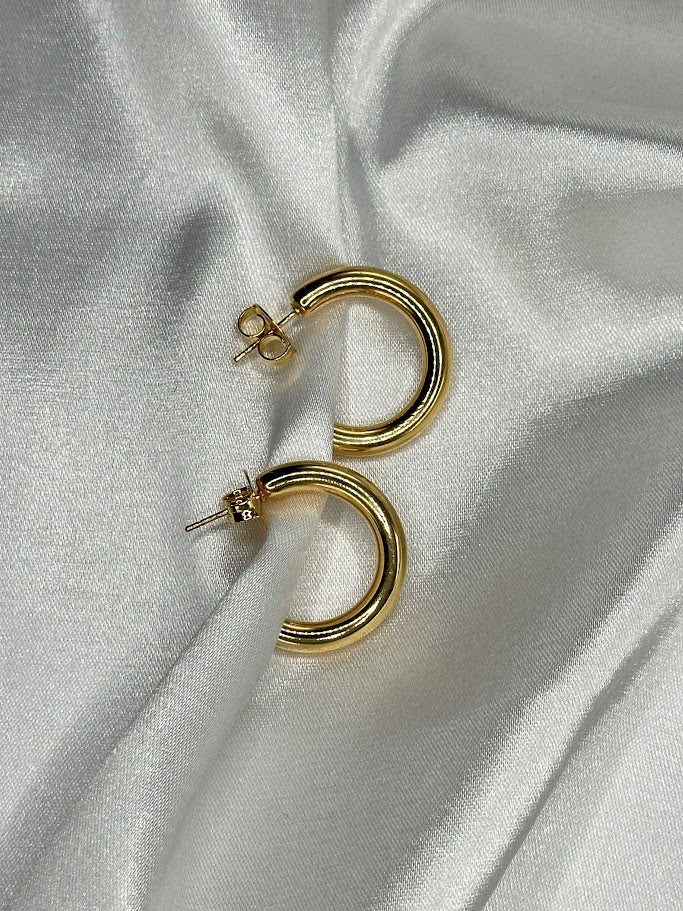 Brinco Argola Lisa - Divina Garota
