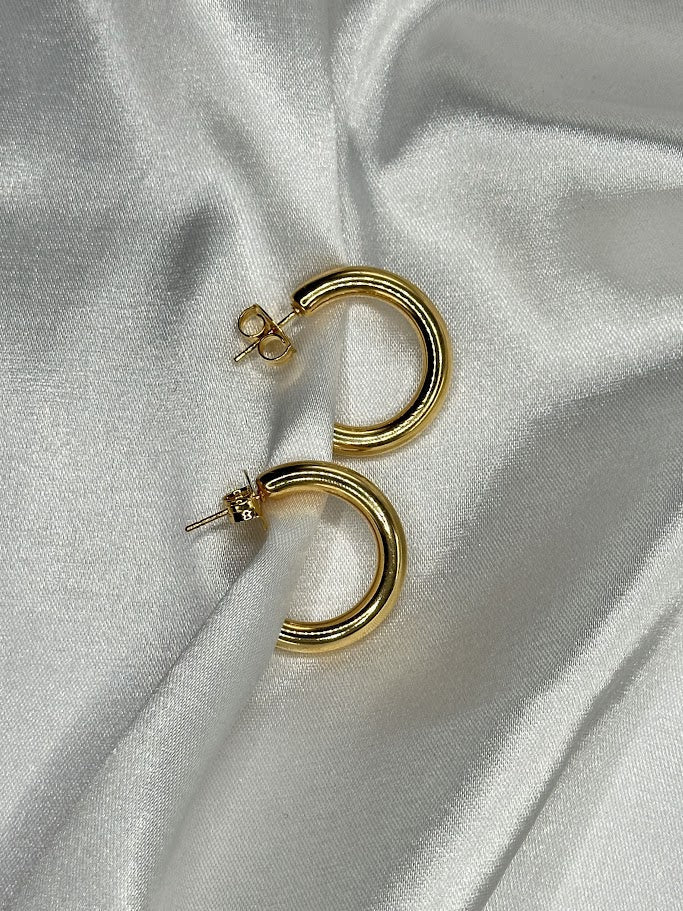 Brinco Argola Lisa - Divina Garota